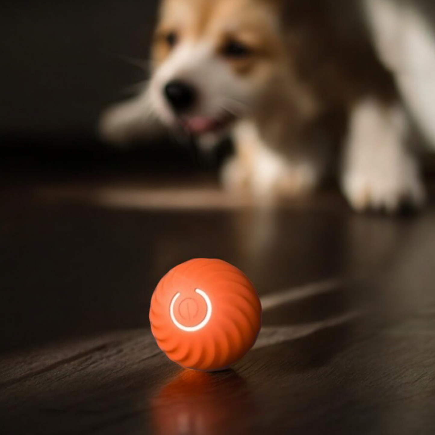 LIVIPETS™ - Interaktiver Ball für Haustiere