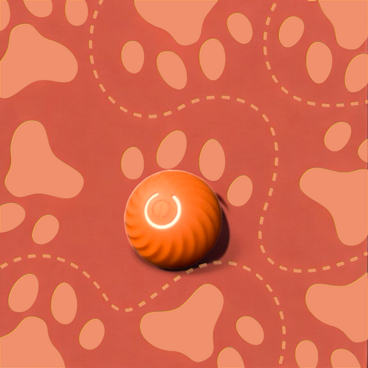 LIVIPETS™ - Interaktiver Ball für Haustiere